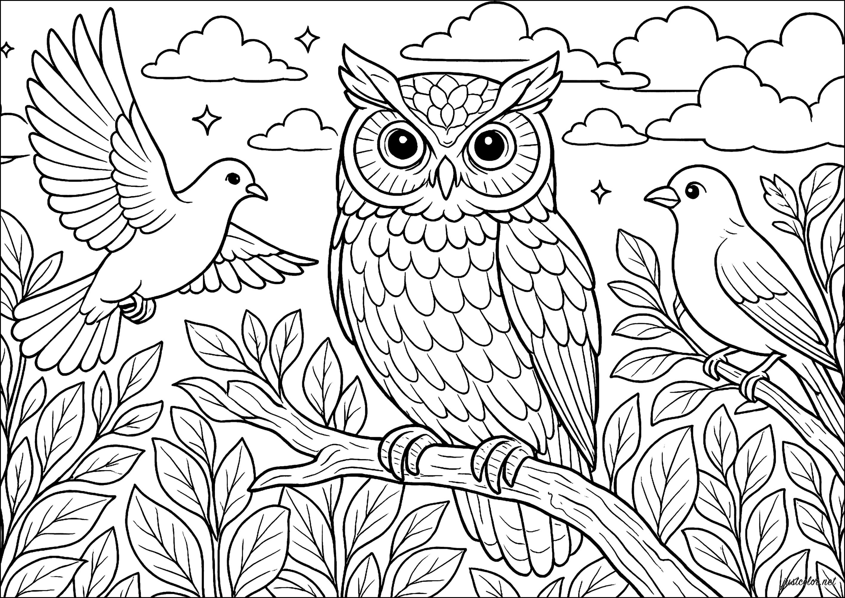 Majestic owls and graceful birds (Printable Coloring Page for adults)