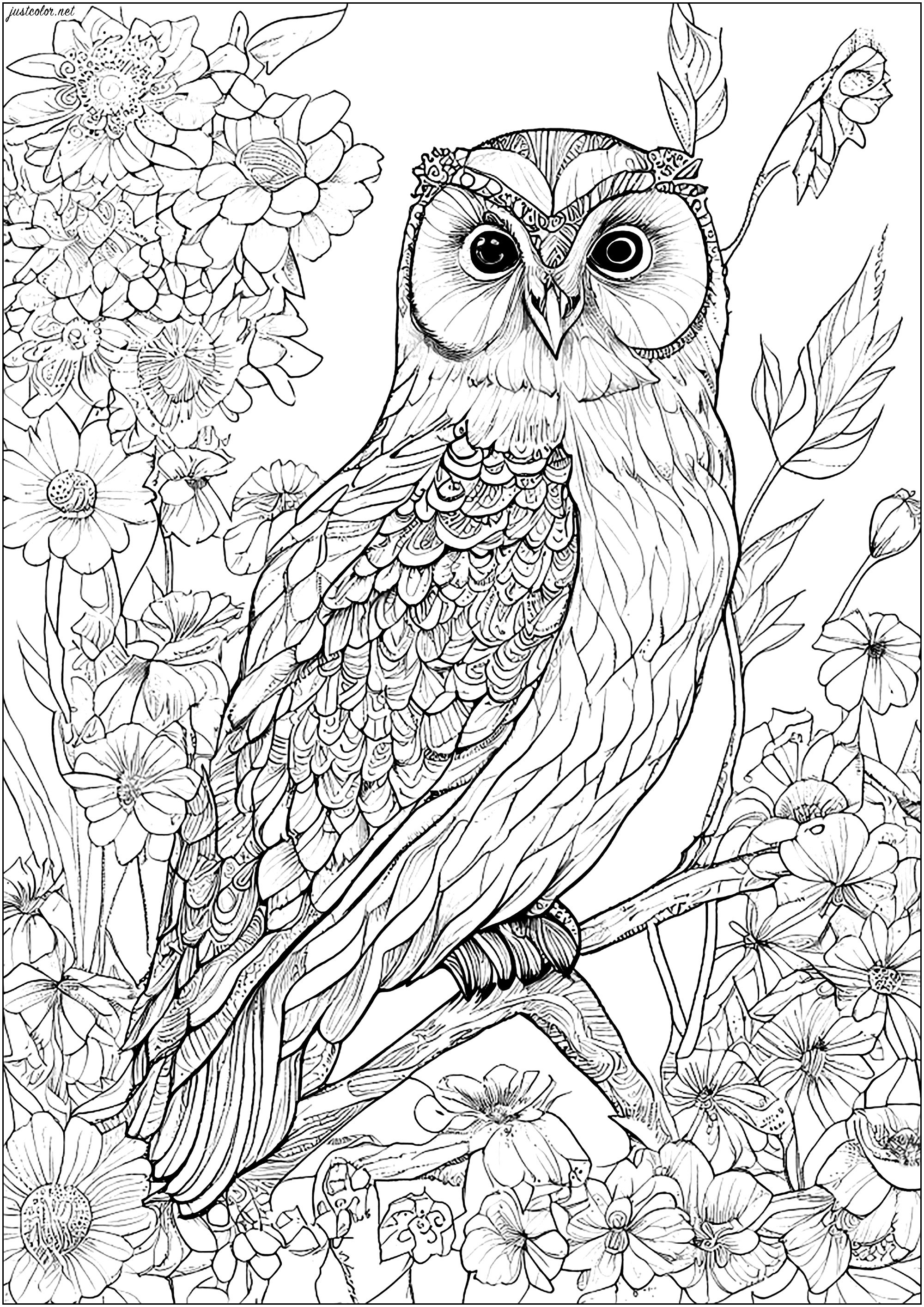 Very realistic owl and pretty flowers Owl Coloring Pages for adults