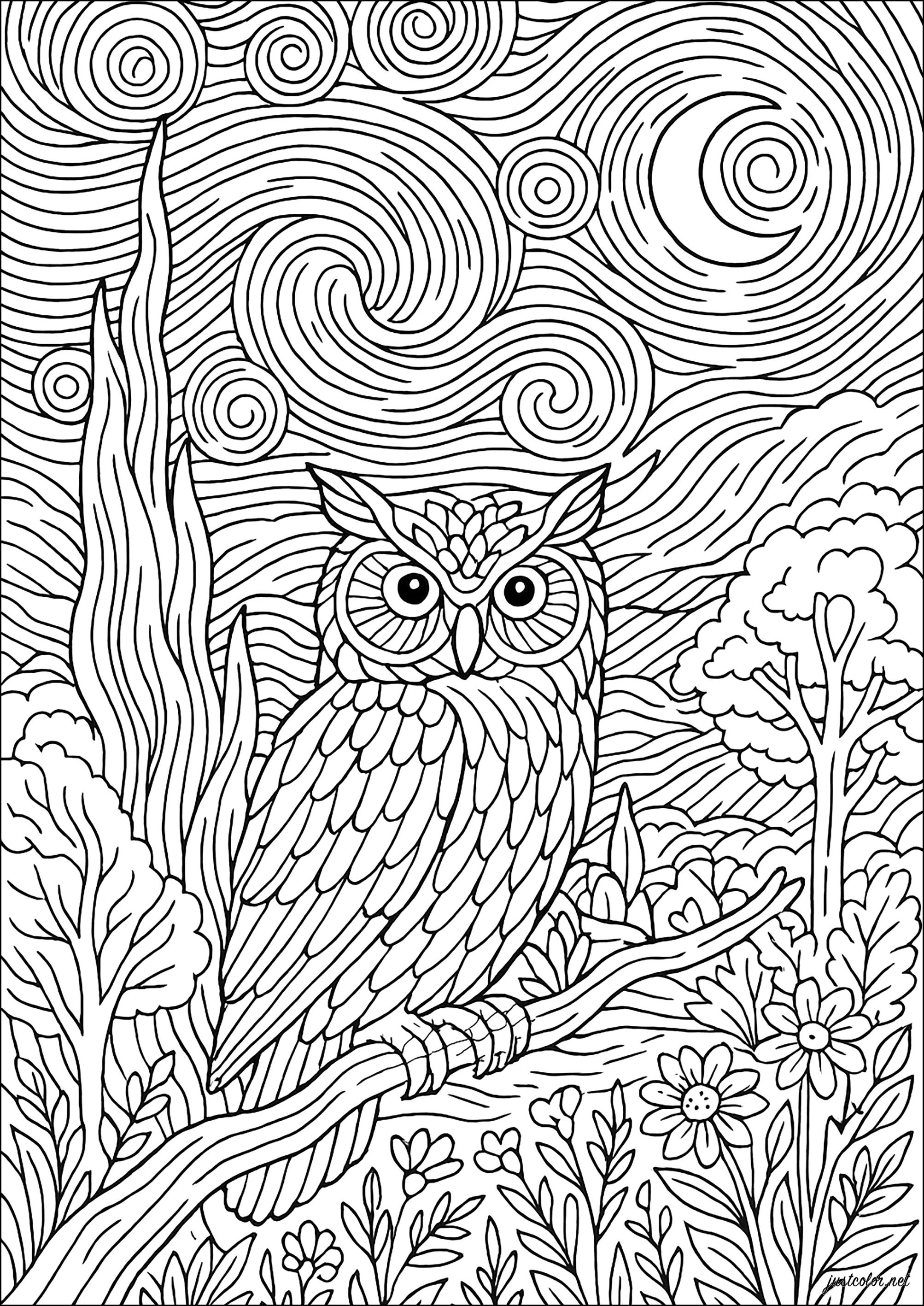 Owls-83221 (Printable Coloring Page for adults)