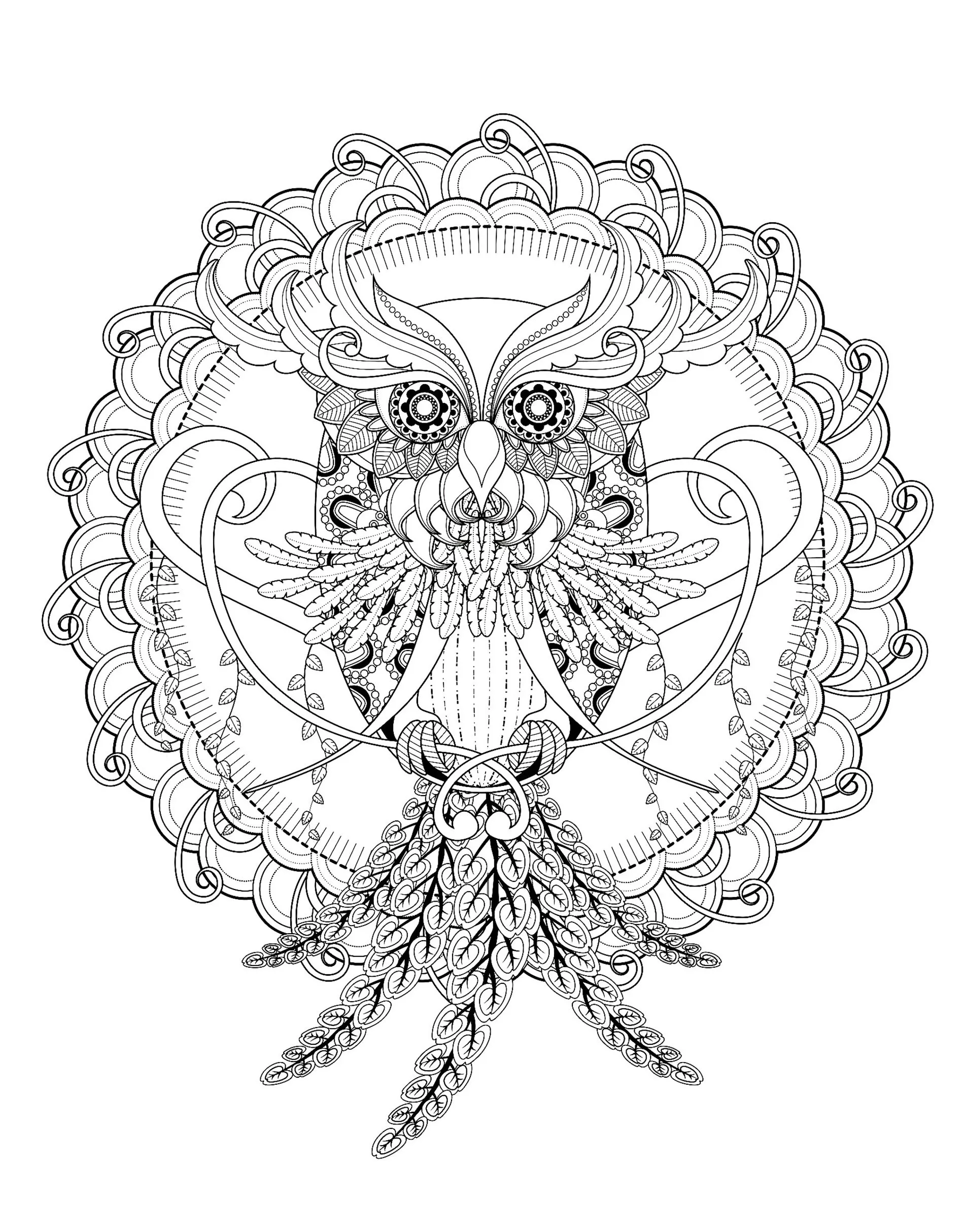 Owl kchung (Printable Coloring Page for adults)