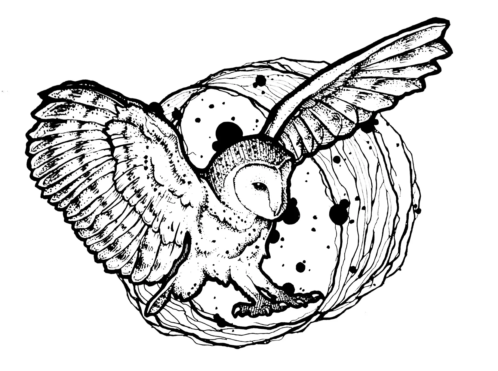 Owl wings deployed (Printable Coloring Page for adults)