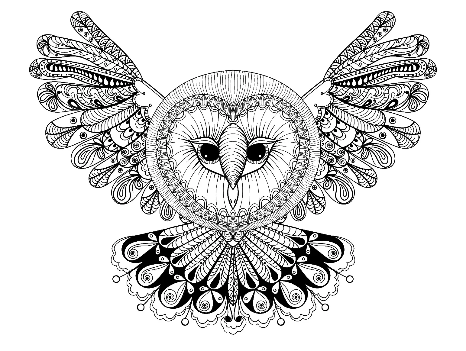 Owl with big head (Printable Coloring Page for adults)