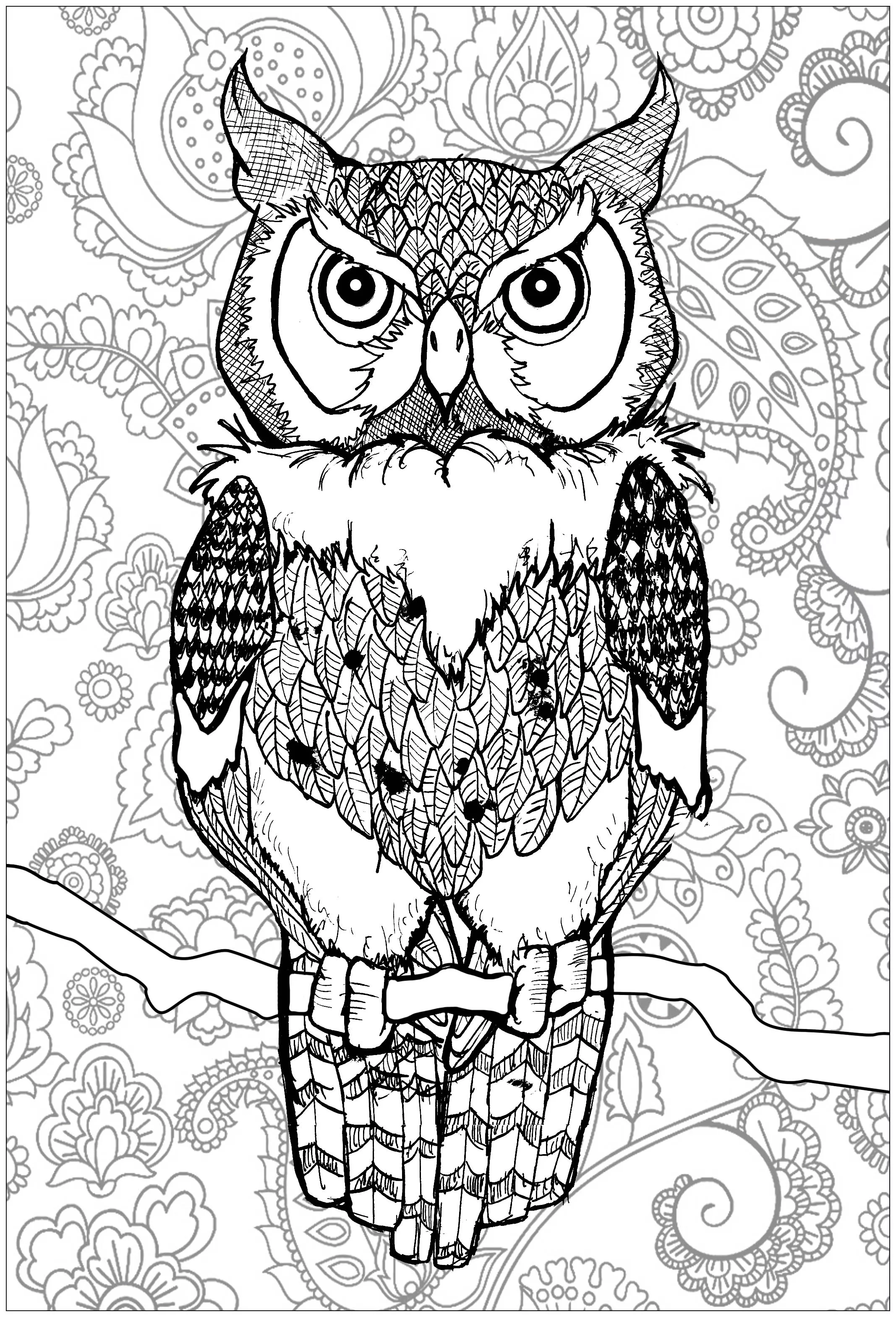 Piercing eyes owl with background (Printable Coloring Page for adults)