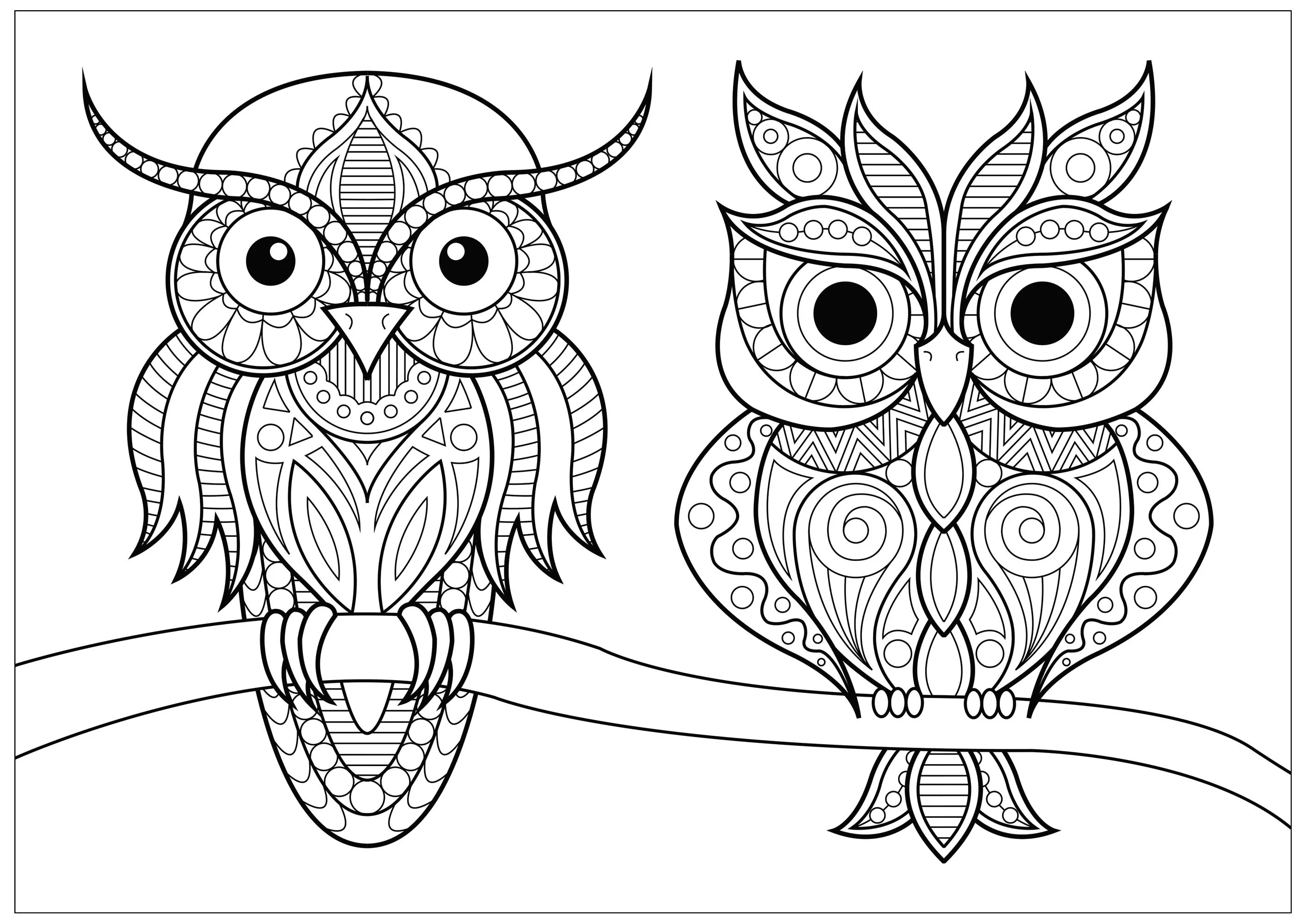 Two Owls on a Branch (Printable Lucie Coloring Page for adults)