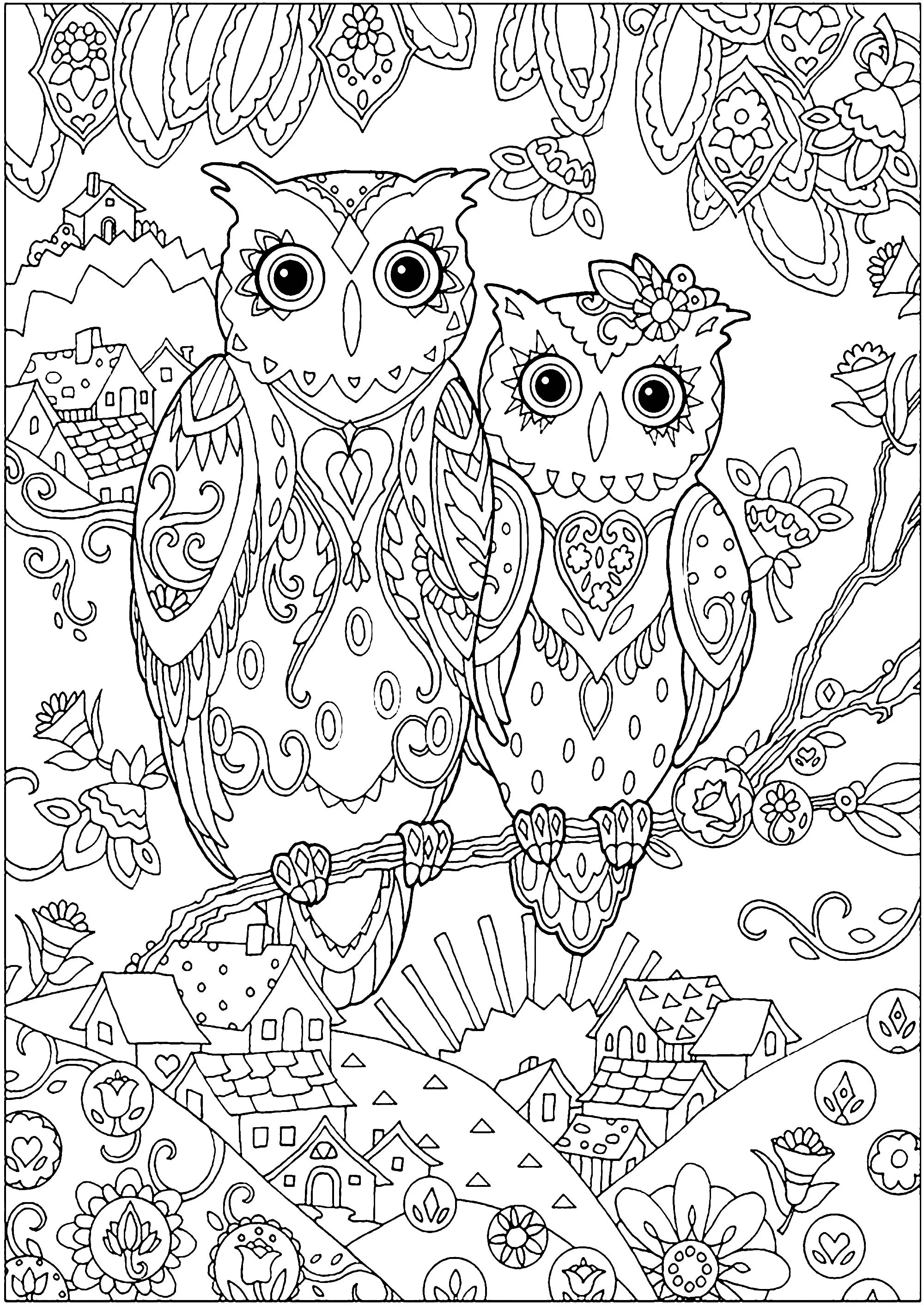 Two owls (Printable Coloring Page for adults)