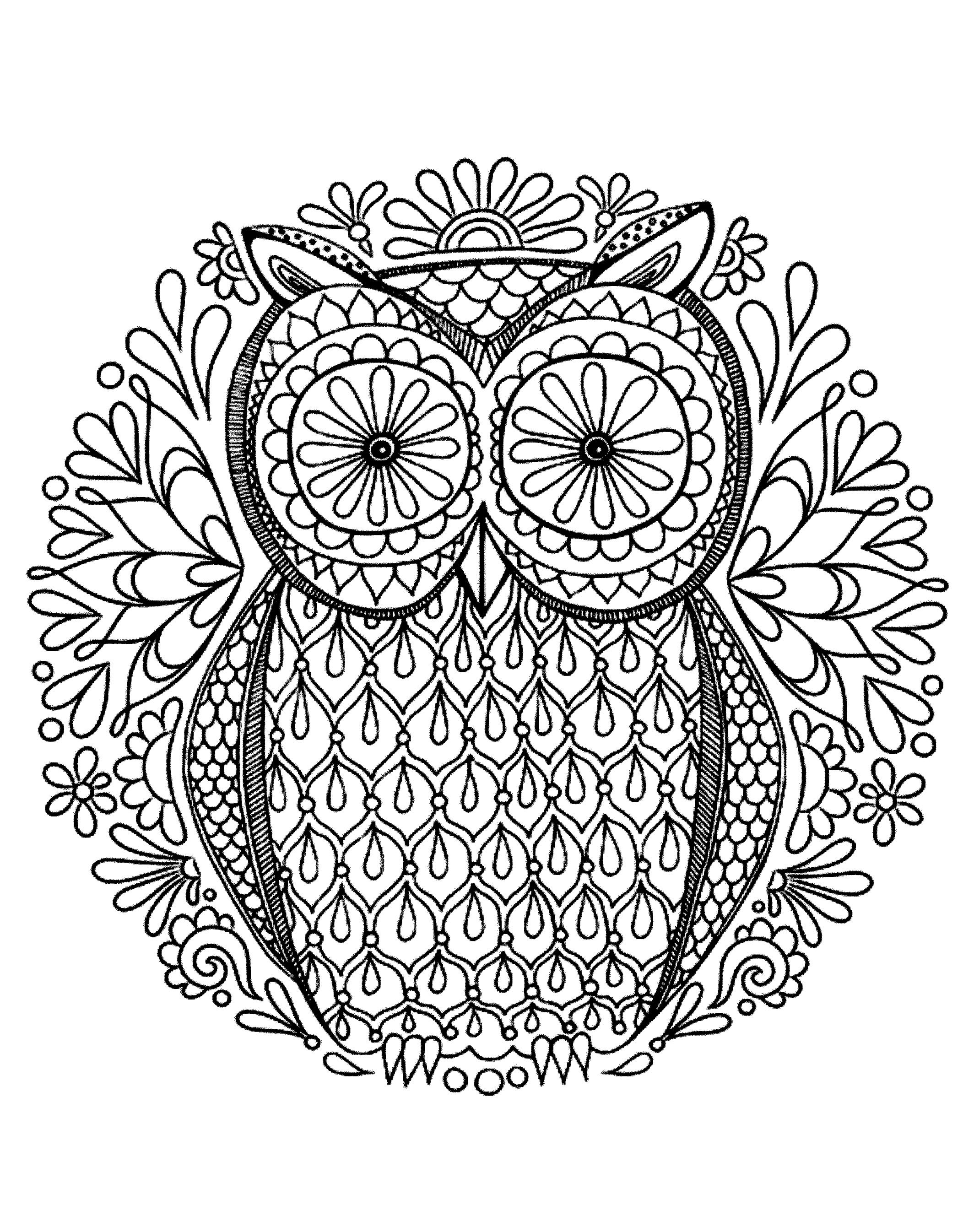 Simple owl in a circular design