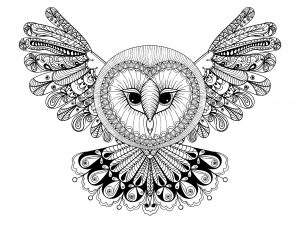 Coloring page owl with big head