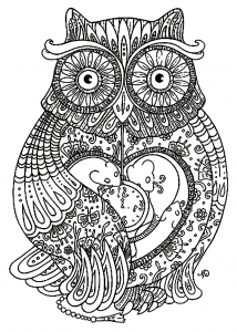 Coloring adult big owl