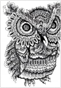 Coloring adult owl big eyes 3