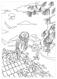 A beautiful Own on a roof, to print & color, an original coloring page  (Owl Coloring Page)