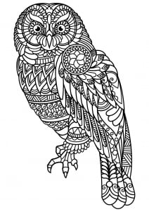 Owl with beautiful patterns (Coloring Page)