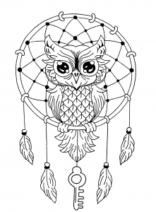 Coloring owl dreamcatcher