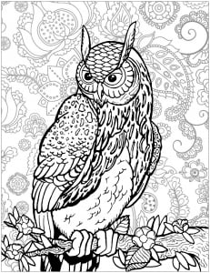 Owl on a Tree branch, with complex background (Coloring Page)