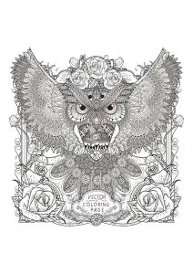 Owl with intricate patterns