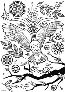 Owl in flight with flowers and abstract motifs (Coloring Page)