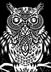 Coloring page owl black background 1