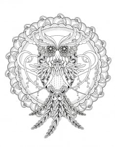 Coloring page owl kchung