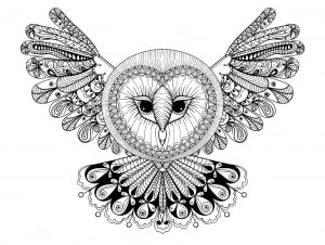 Coloring page owl with big head