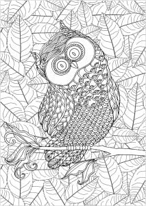 Coloring page owl with leaves in background