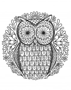 Coloring very simple owl