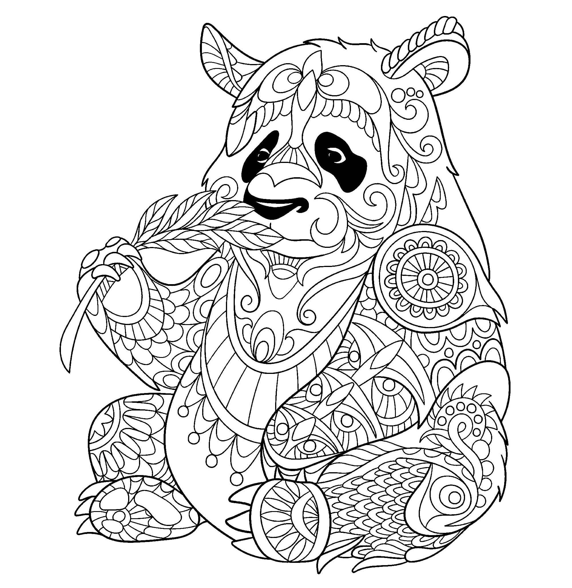 Panda eating bamboo shoot - P&a Adult Coloring Pages