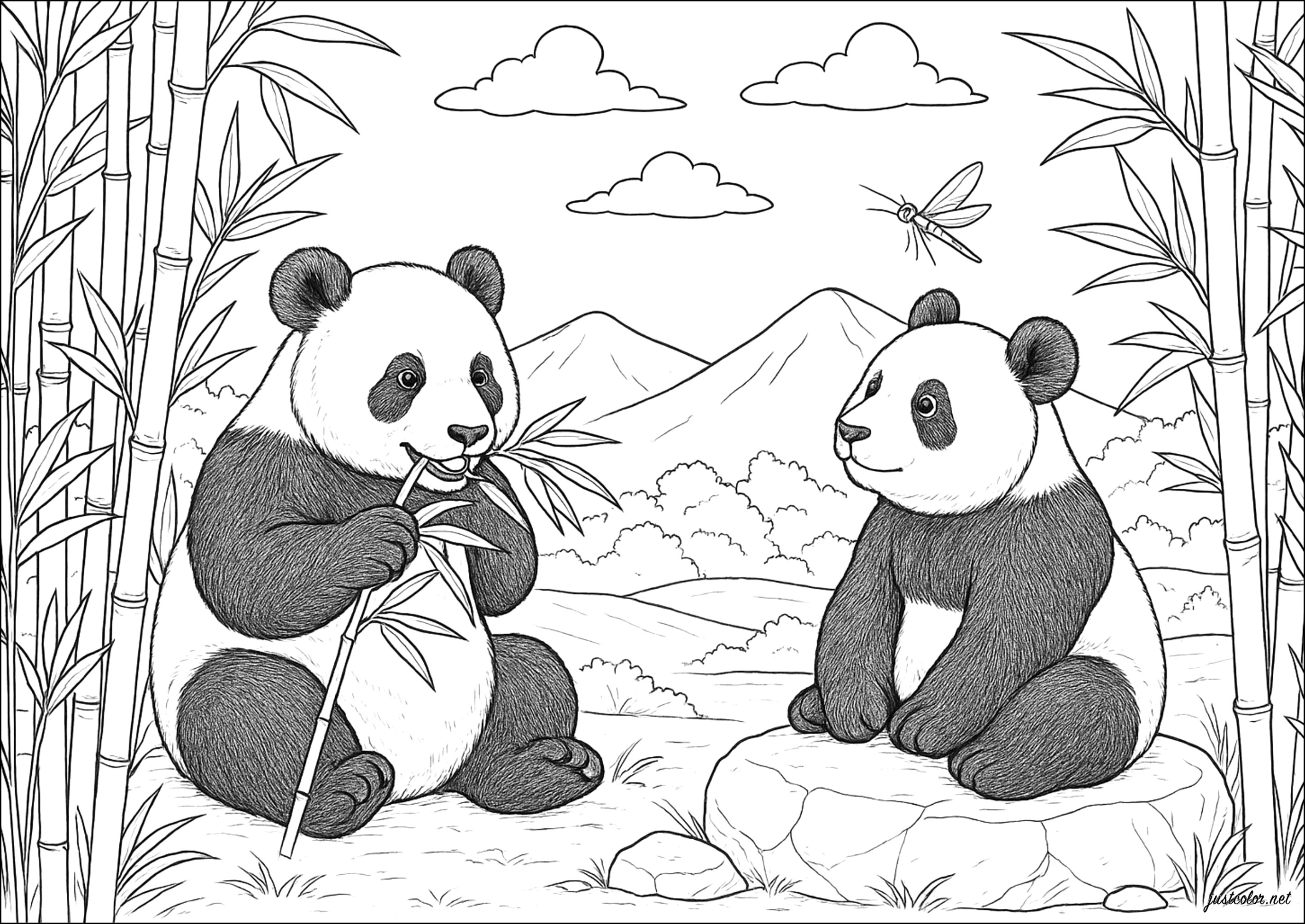 Peaceful pandas among the bamboo (Printable Coloring Page for adults)