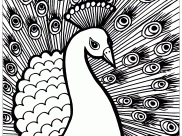 Peacocks Coloring Pages