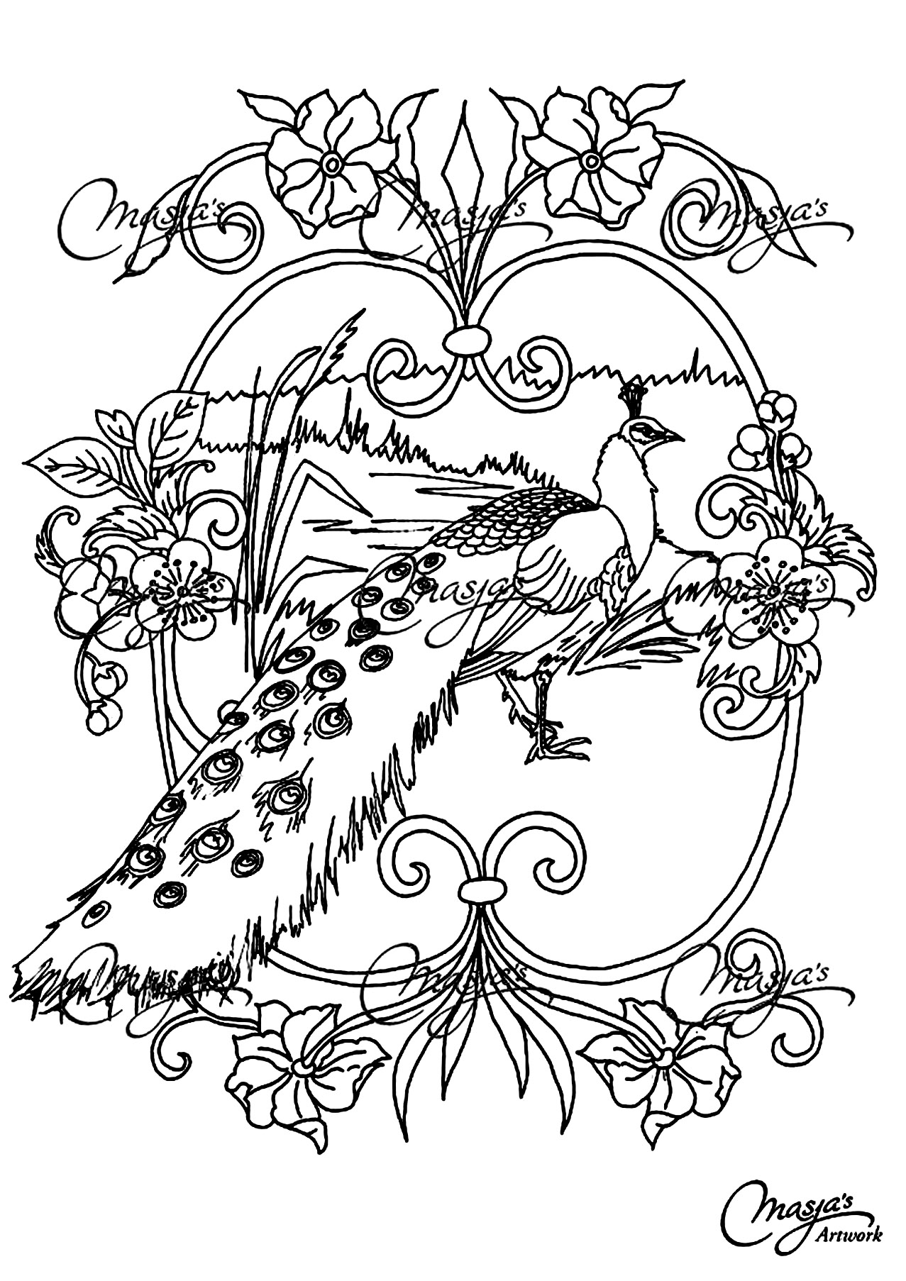 Coloring page of a beautiful peacock