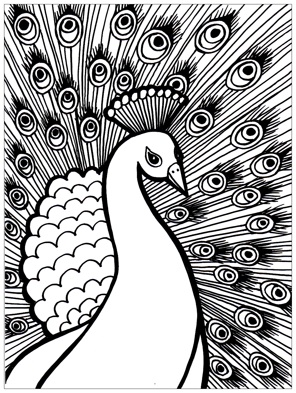 Magnificient peacock to print and color