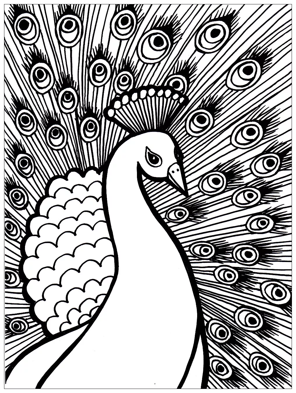 Magnificient peacock (Printable Coloring Page for adults)