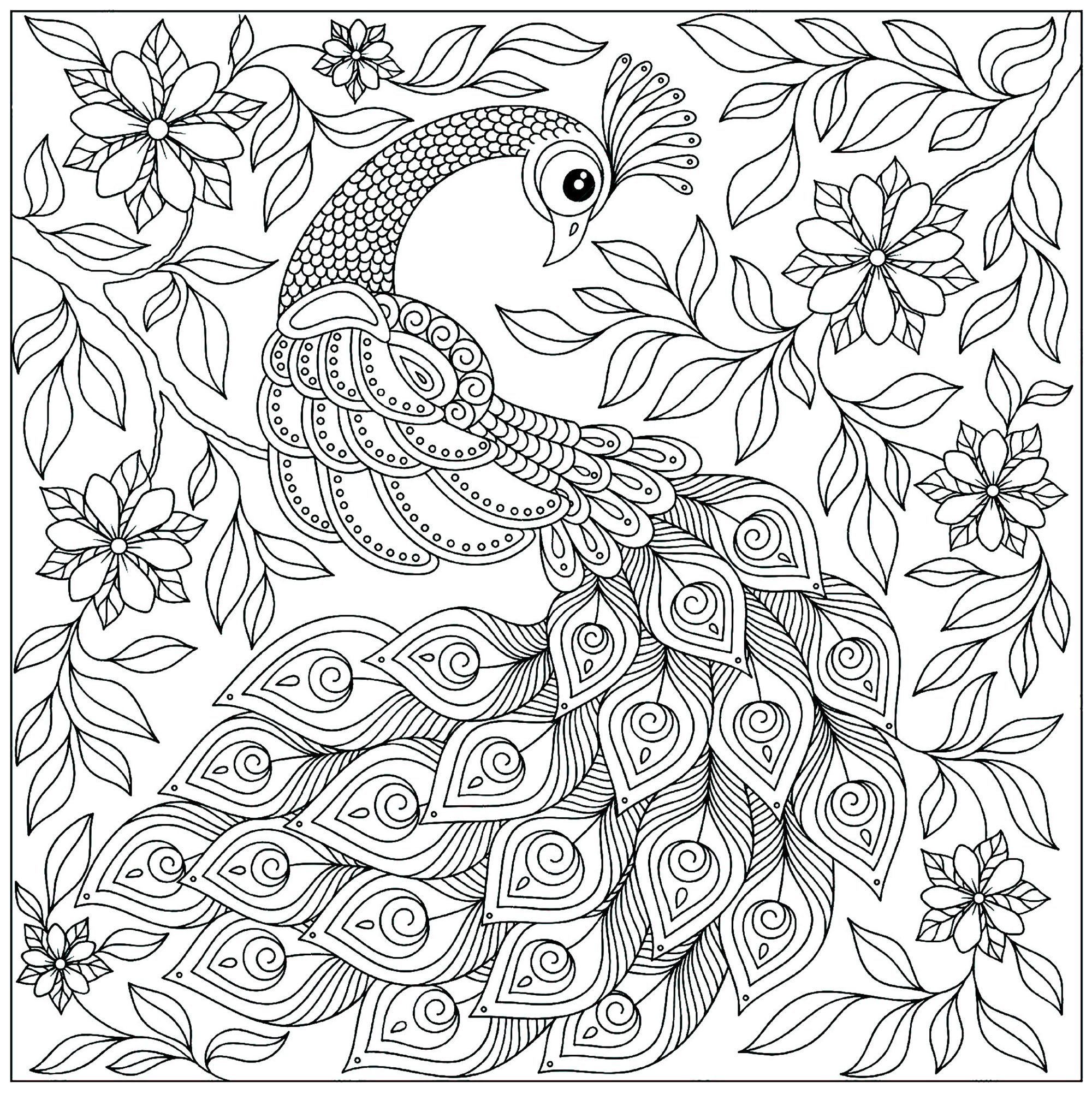 Peacock Coloring Pages Peacock among the flowers Peacocks Adult Coloring Pages