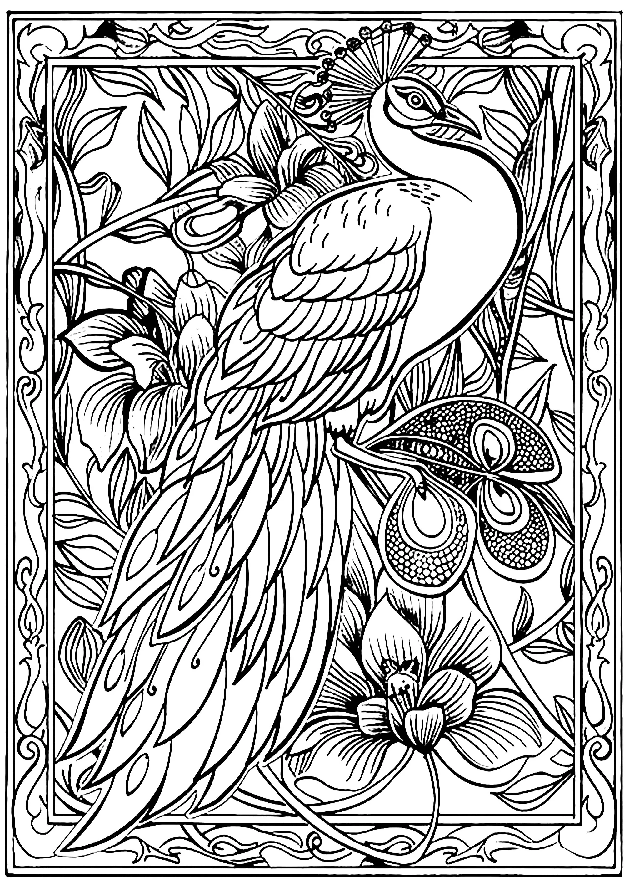 Peacock in a pretty frame (Printable Coloring Page for adults)