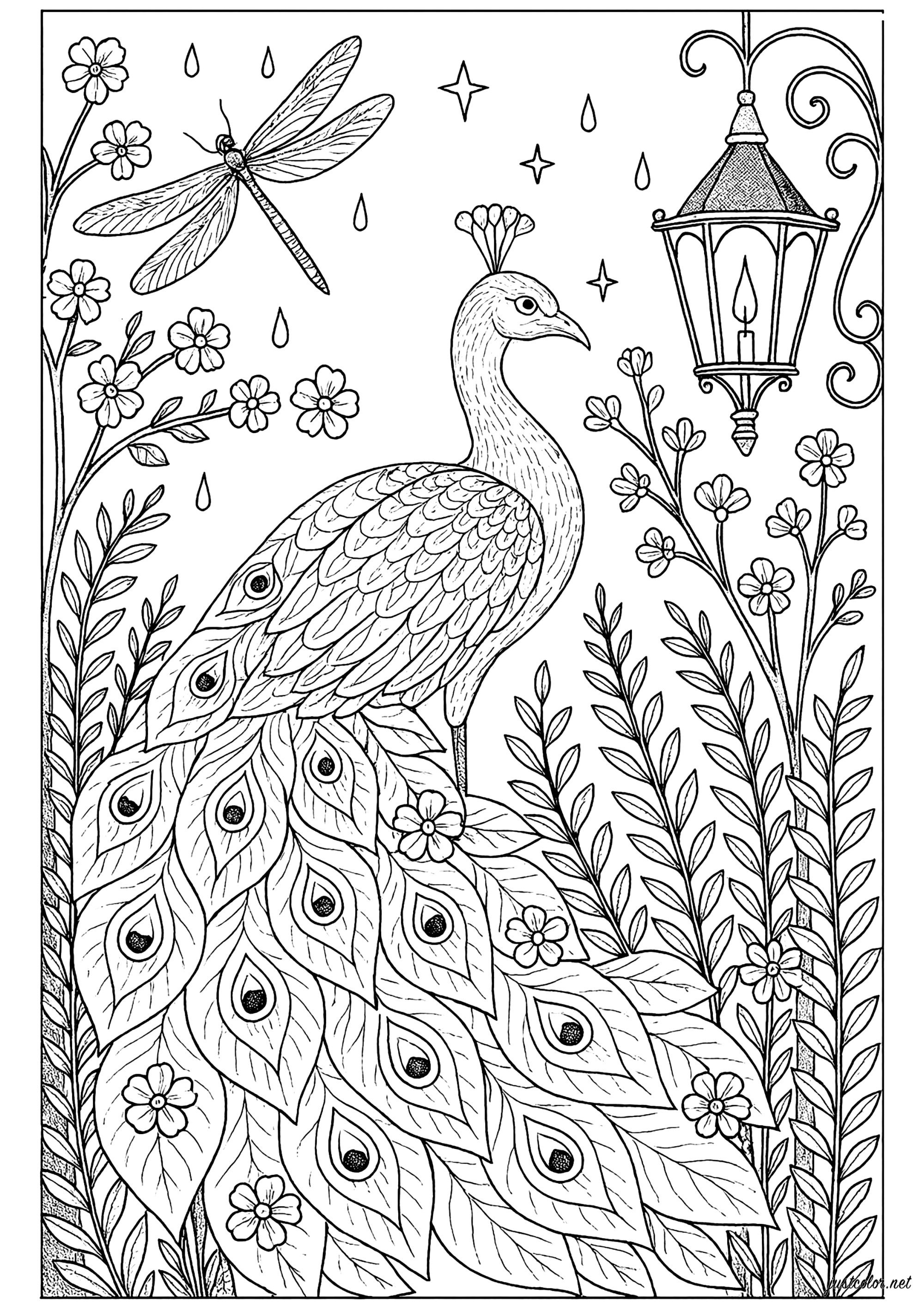 Majestic Peacock and Enchanted Nature (Printable Coloring Page for adults)