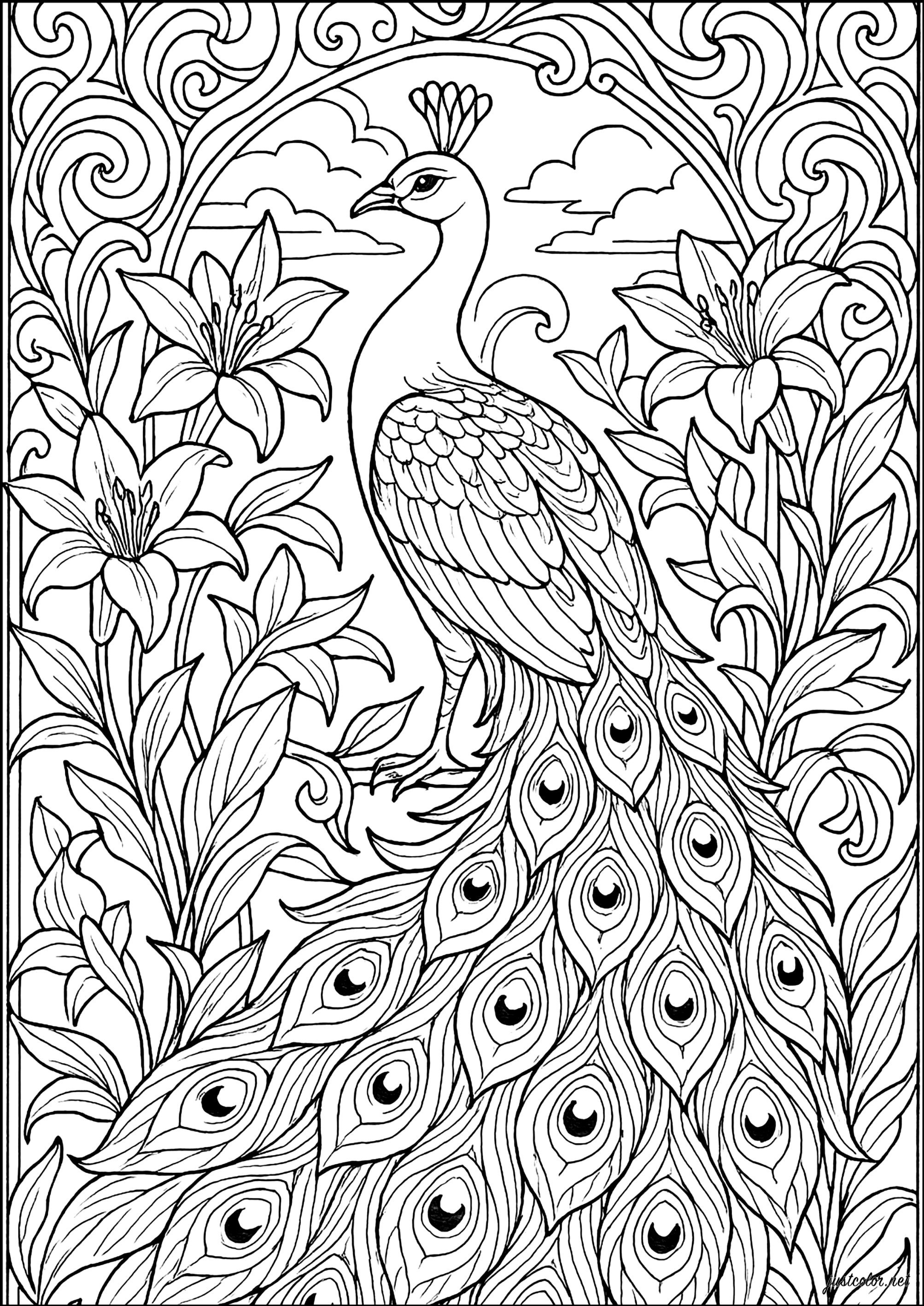 Beautiful peacock surrounded by flowers (Printable Coloring Page for adults)