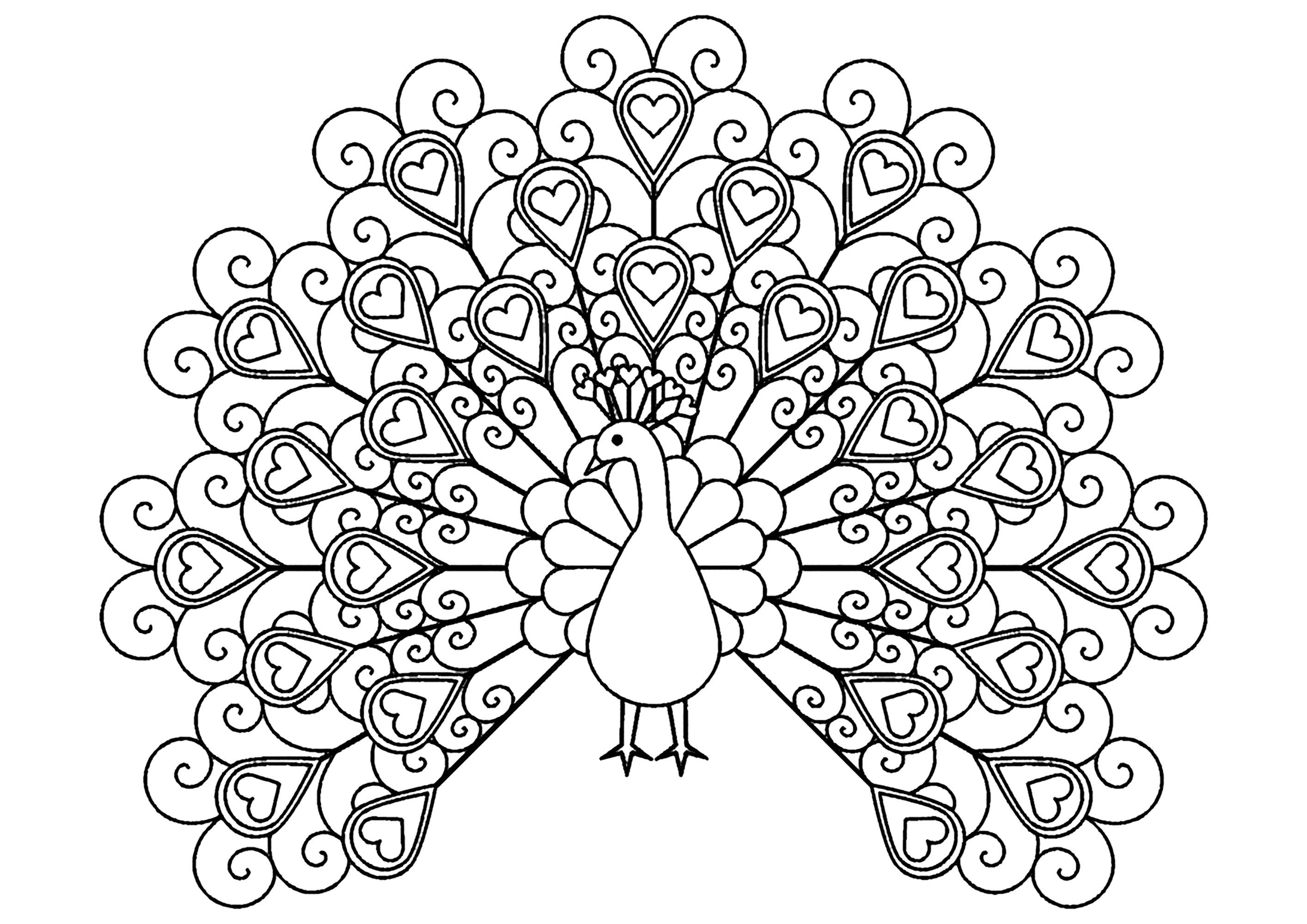 Simple coloring page of a peacock full of elegant hearts