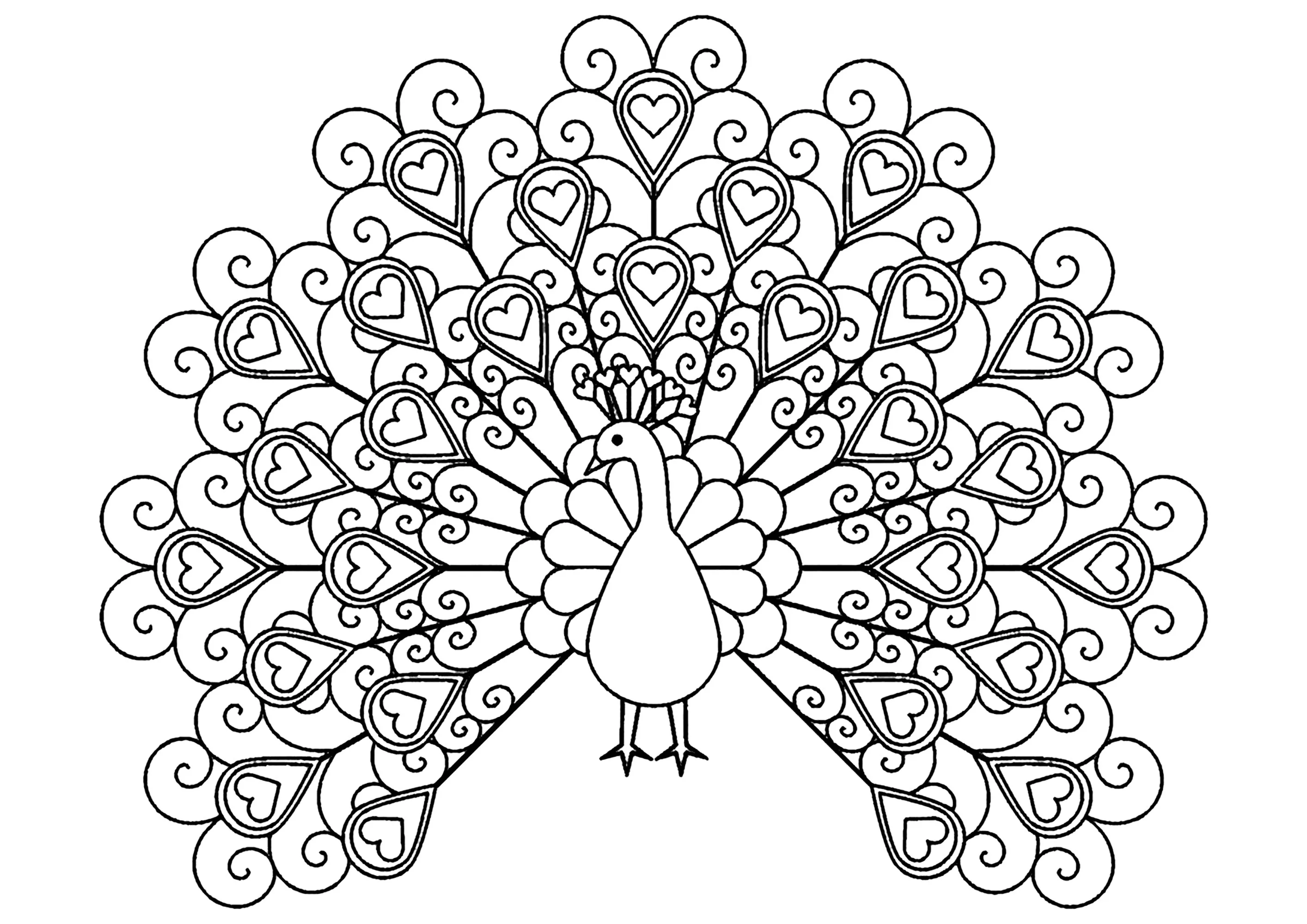 Peacock with hearts (Printable Coloring Page for adults)