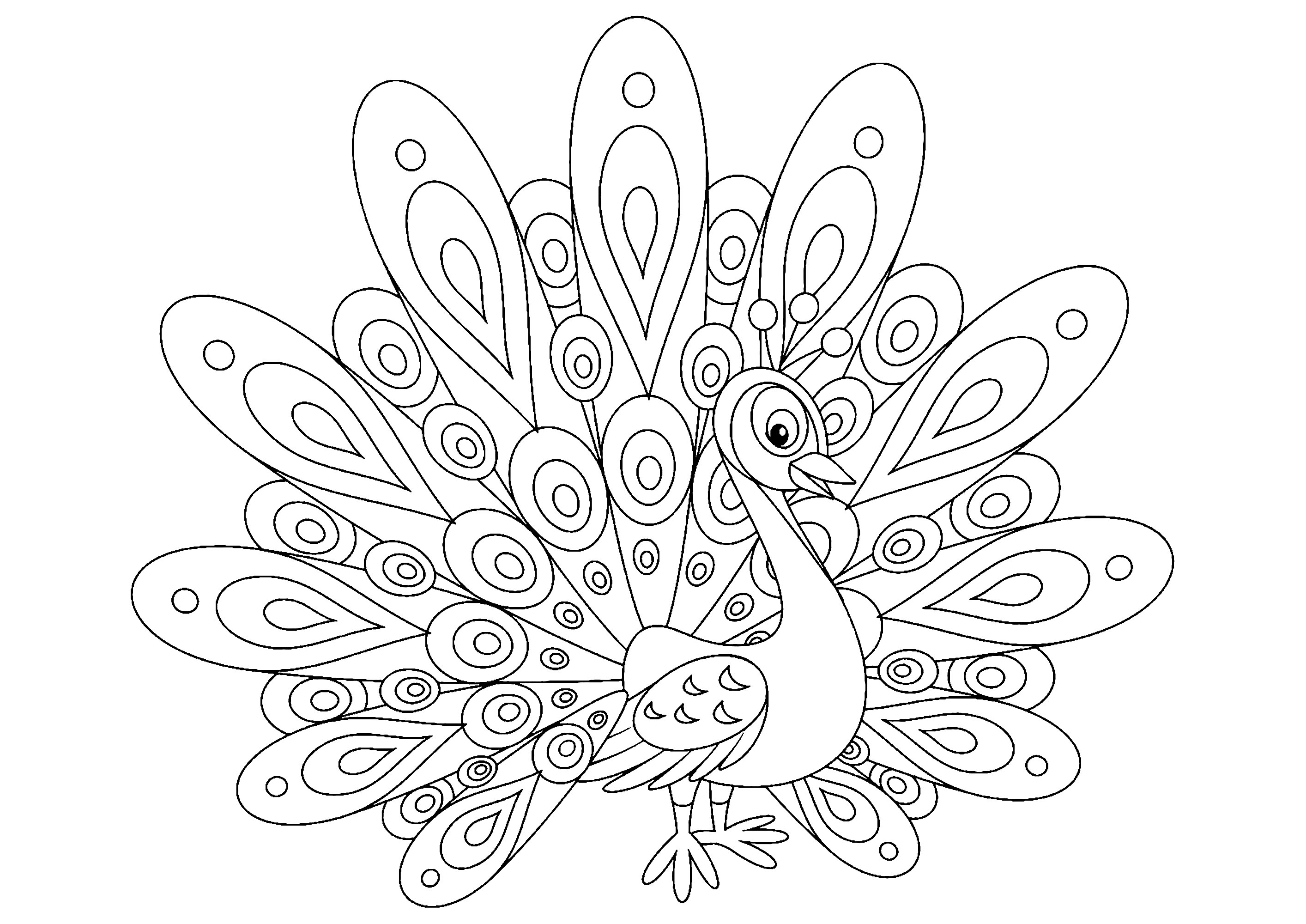 Color this simple peacock