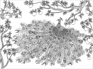 Peacock And Apple Tree