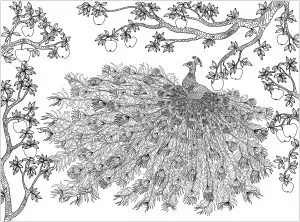 Peacock and apple tree