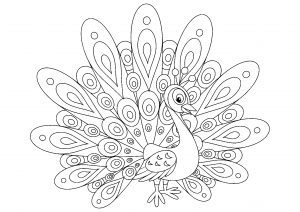 Simple Peacock