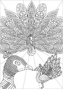 Tree peacocks (Coloring Page)