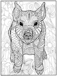 Coloring pig and flowers