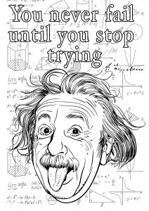 Albert Einstein : You never fail until you stop trying
