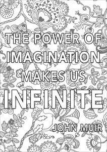 The Power of Imagination makes us Infinite