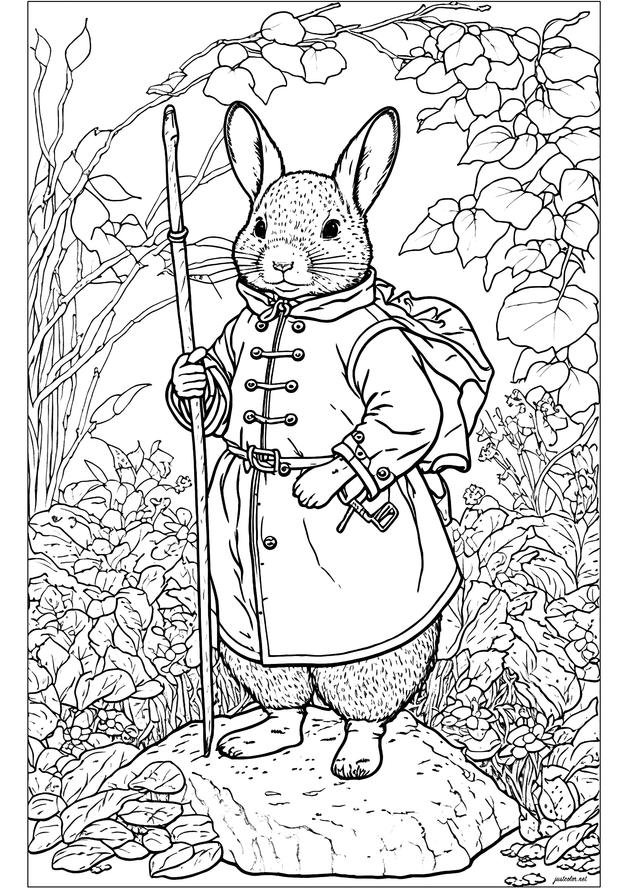 Coloring a rabbit ready for great adventures. Color this bunny dressed as an adventurer. Standing like a human, he looks straight ahead, determined and ready to set off on an adventure with his stick. Color the lush vegetation around him too.