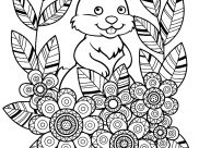 Rabbits Coloring Pages for Adults
