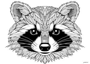 Raccoon head with beautiful motifs