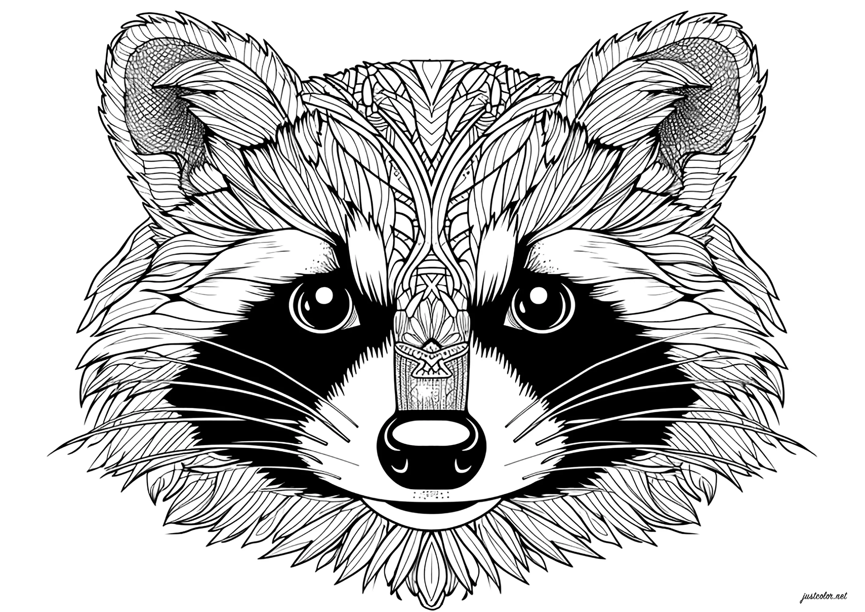 Raccoon head with beautiful motifs (Printable Coloring Page for adults)
