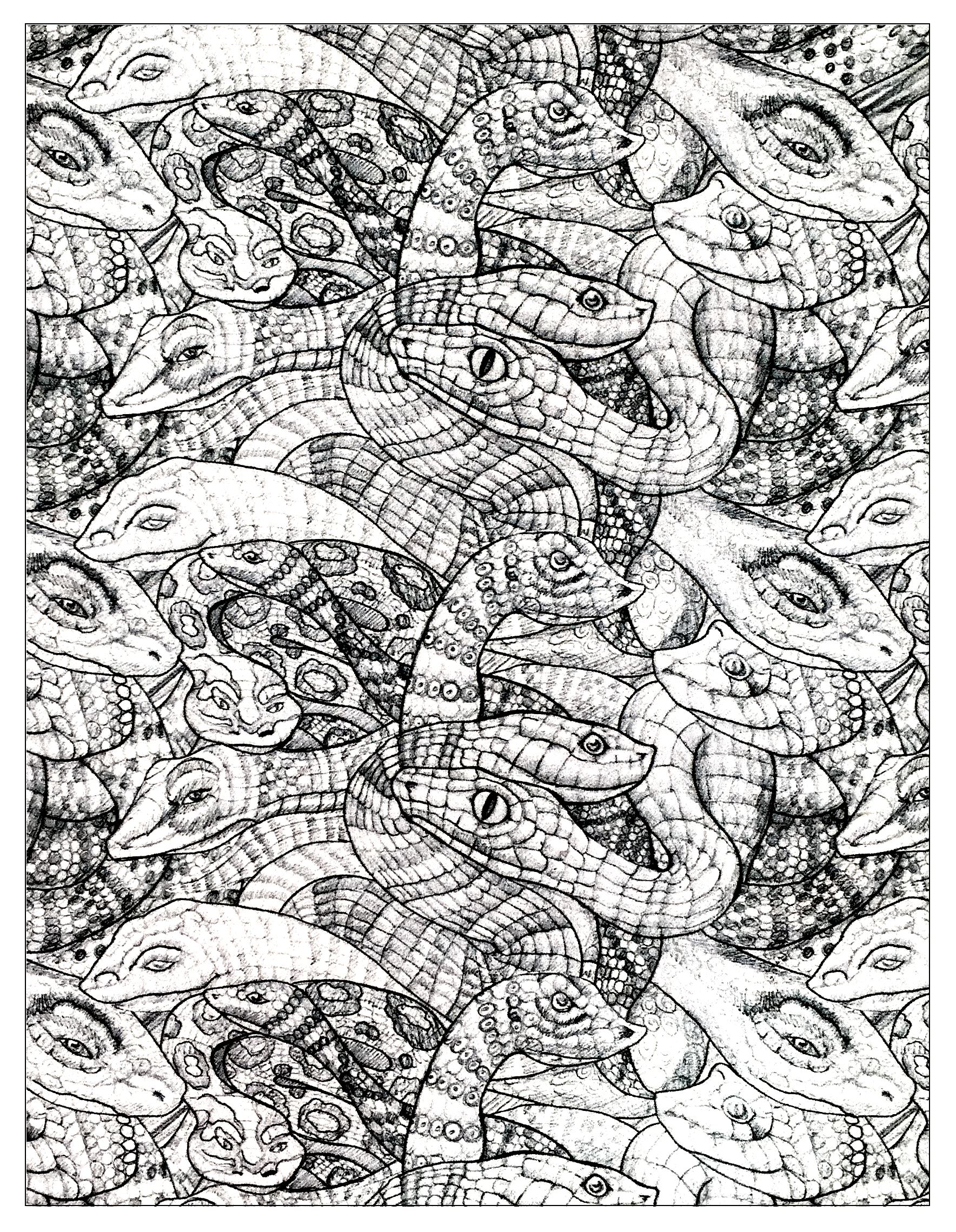 Drawing of entangled snakes with scales drawn in a precise and realistic way