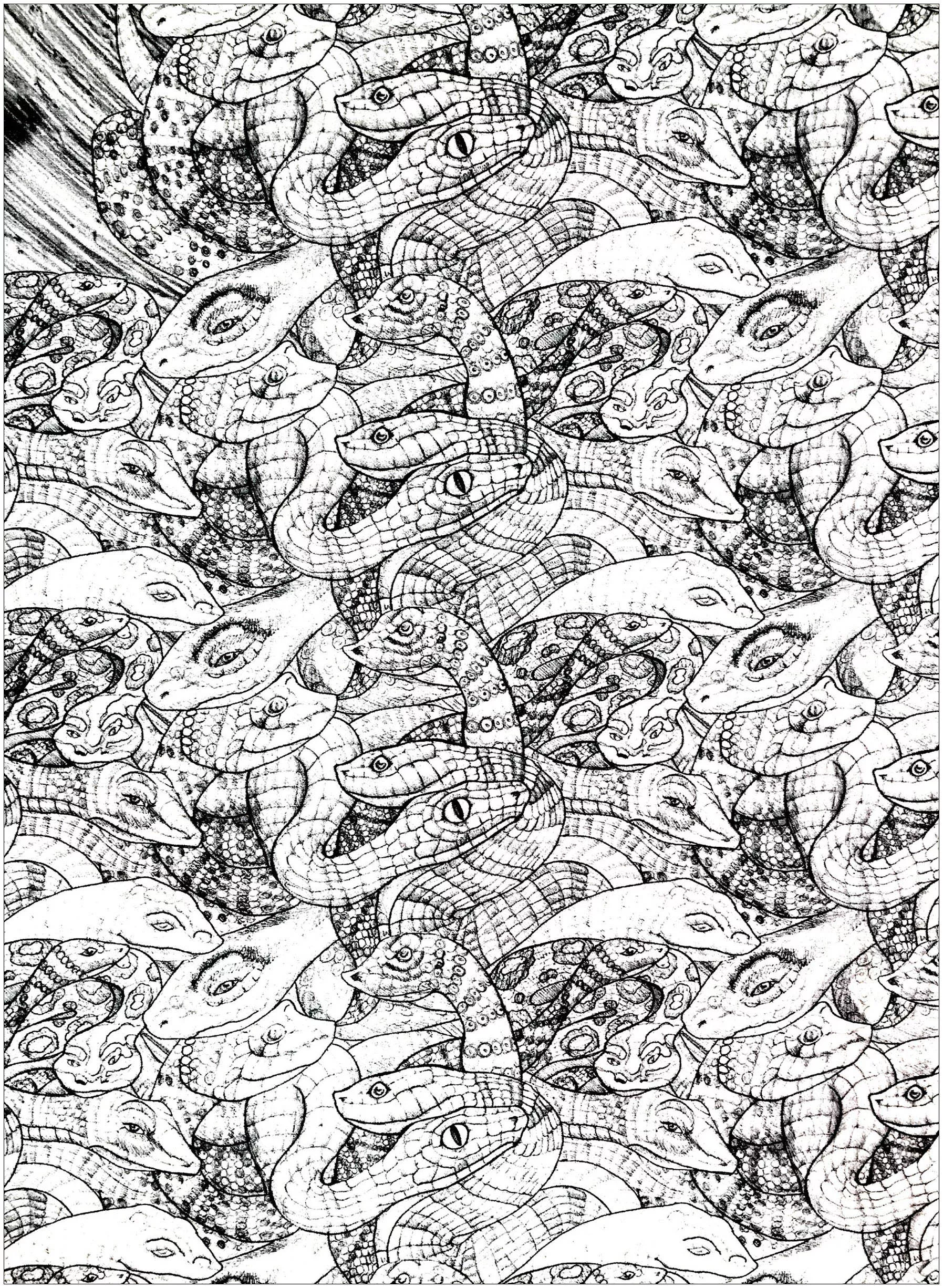 Tangled snakes (Printable Coloring Page for adults)